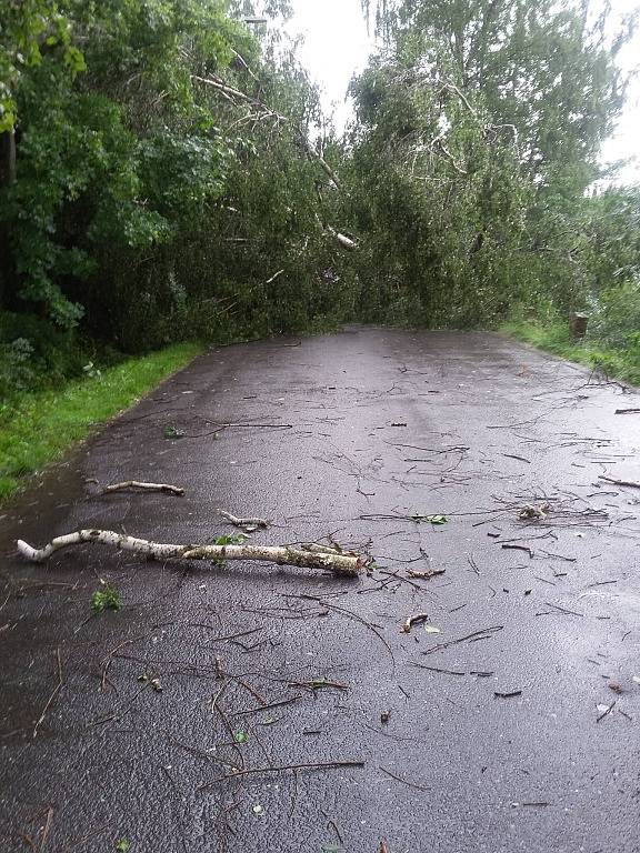 Sobotní apokalypsa po krátké ale razantní bouřce s vichřicí. 