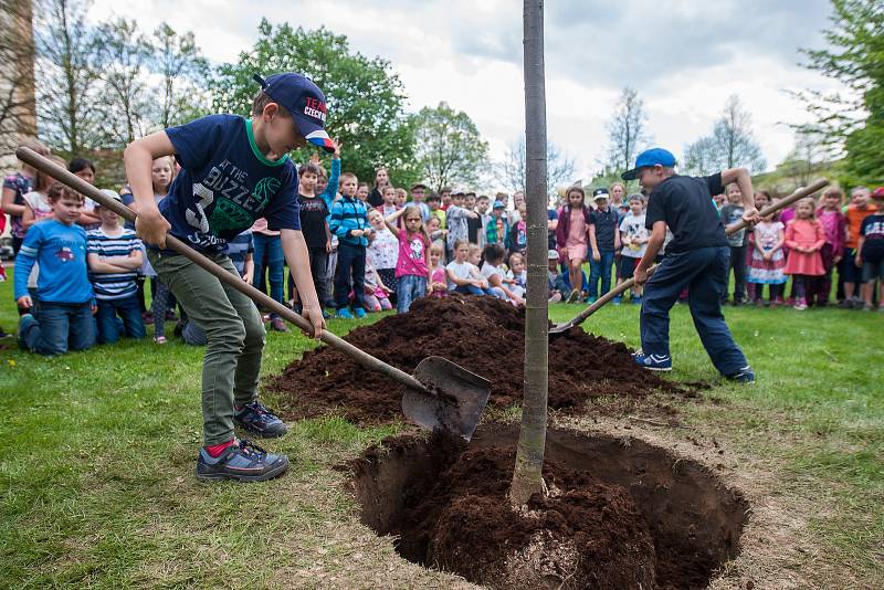 Vedení města Turnov a zástupci Výboru dobré vůle - Nadace Olgy Havlové zasadili 25. dubna v Turnově lípu na počest 85. výročí narození Olgy Havlové. Se výsadbou stromu pomohly i děti ze Základní školy Skálova v Alešově ulici.