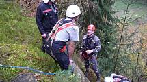 Šest hodin bojovali hasiči o život vlčáka, který spadl do skalní průrvy u Boreckých skal nedaleko Rovenska pod Troskami.