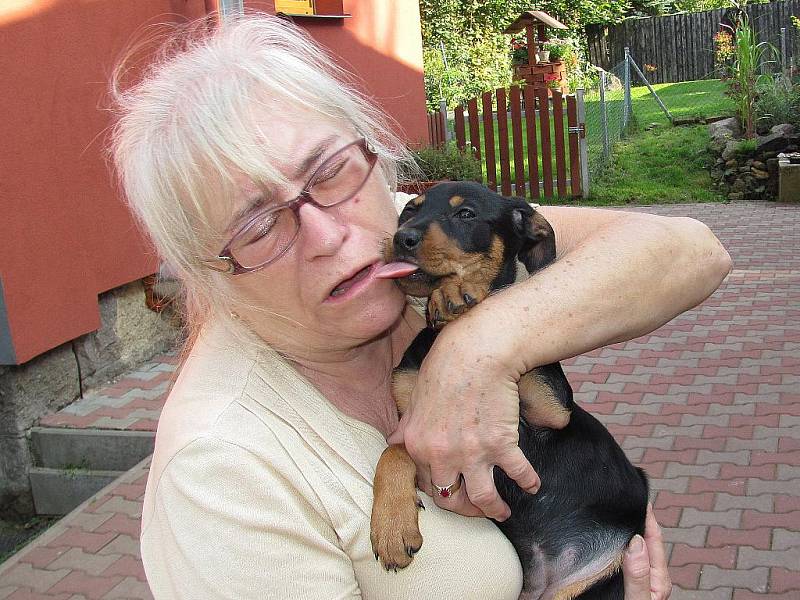 V lučanském útulku Dášenka natáčela Marta Kubišová pro Českou televizi pořad Chcete mě. Vysílat jej budou 9. října dopoledne na ČT2.