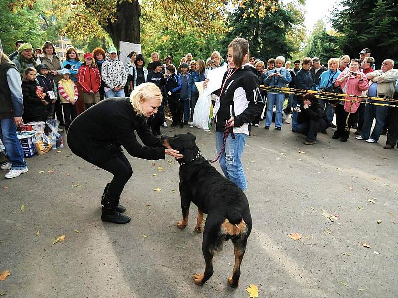 Zpěvačka Klára Kolomazníková usedla v porotě Jabloneckého voříška spolu s pražskou advokátkou Klárou Slámovou. 