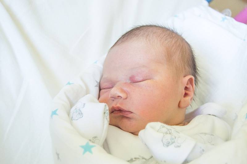 TADEÁŠ PROVAZNÍK se narodil v pondělí 11. prosince v jablonecké porodnici mamince Michaele Fedákové z Liberce.  Měřil 51 cm a vážil 4,08 kg.