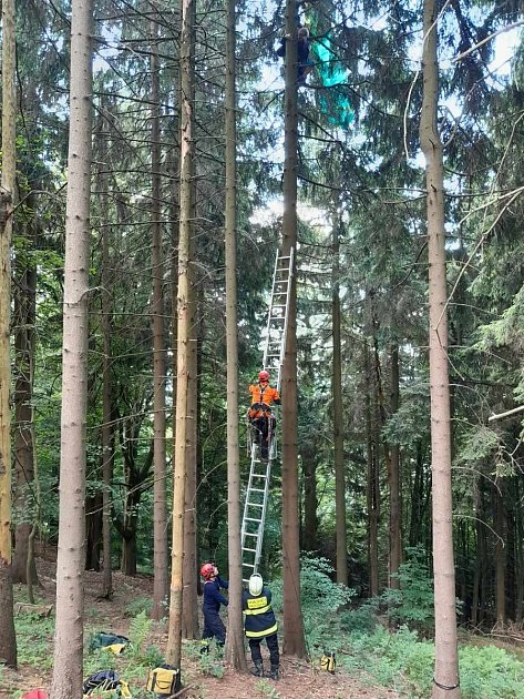 K záchraně paraglidisty, který uváznul na stromě na kopci Kozákov, vyjeli ve čtvrtek odpoledne liberečtí hasiči.