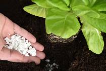 Unikátní hnojivo vydrží rostliny vyživovat dva až tři roky.