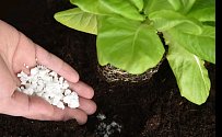 Unikátní hnojivo vydrží rostliny vyživovat dva až tři roky