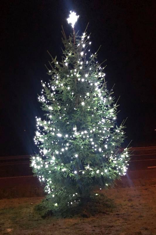 Vánoční strom v Loužnici