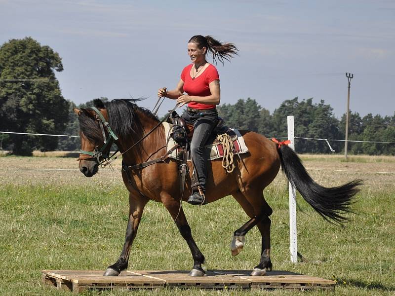 Věra Růžičková z Loužnice na koni Porthos, při závodech westernového ježdění na Sychrově. 