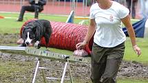 Víkend patří v Liberci na Městském stadionu Mistrovství Evropy v agility 2010.