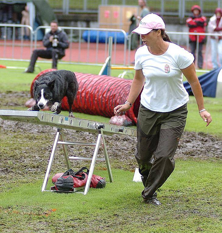 Víkend patří v Liberci na Městském stadionu Mistrovství Evropy v agility 2010.