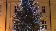 Vánoční strom v Železném Brodě