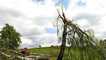 Řádění vichřice nejvíce odnesla oblast mezi Horní Světlou a Novou Hutí. V pásmu širokém čtyři stovky metrů a dlouhém téměř tři kilometry smetl vichr každý strom, pouze ojediněle trčí k nebi zpřelámané pahýly.