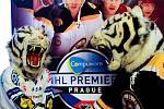 V Liberci se v říjnu představí tým z NHL. Název sportovní akce je NHL Premiere Challenge 2010 Exhibition Game Bílí Tygři Liberec – Boston Bruins.