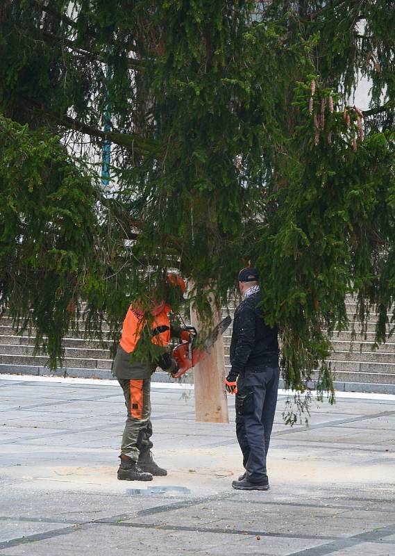 Jablonecké Mírové náměstí již zdobí vánoční strom