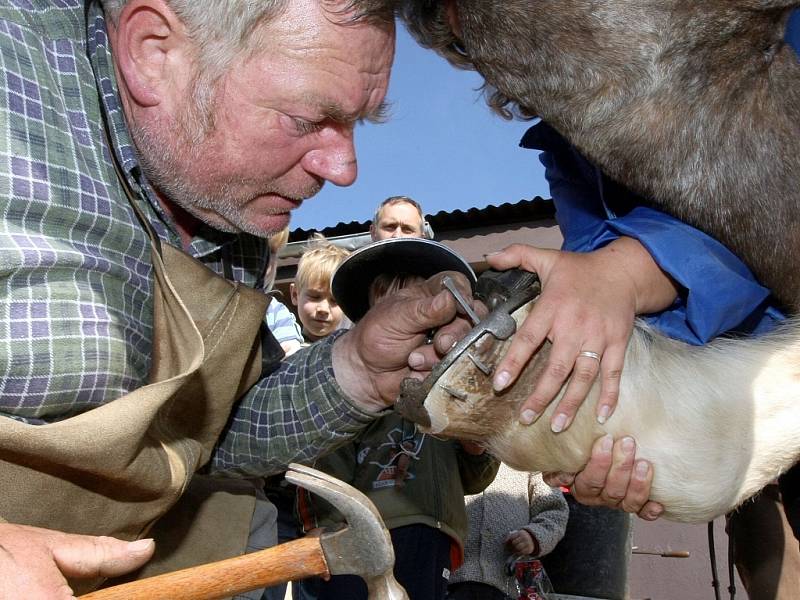 Na Kozí farmě v Pěnčíně na Jablonecku předváděli kování koní, pasení a stříhání ovcí, také proběhla aukce beranů. 