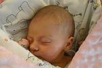 Jasmína Horká. Narodila se 31. ledna v jablonecké porodnici mamince Lence Gregorové z Jablonce nad Nisou. Vážila 3,13 kg a měřila 49 cm.