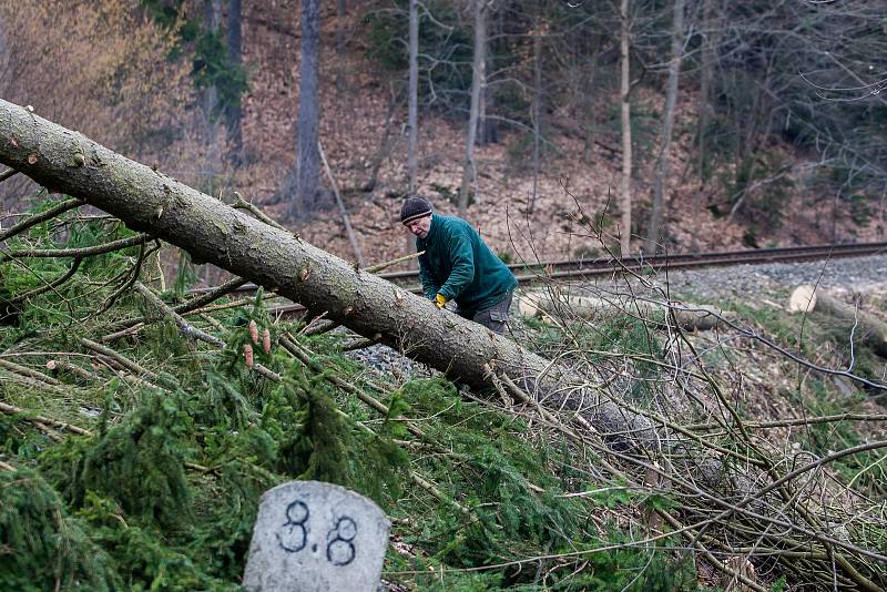 Kácení dřevin podél železniční trati 035 Železný Brod - Tanvald na snímku z 27. března. Cestující musí počítat s výlukami vlaků až do 29. března.