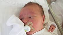 MICHAL ZACHOVAL se narodil v neděli 1. října mamince Haně Zachovalové z Bozkova. Měřil 52 cm a vážil 4,02 kg.