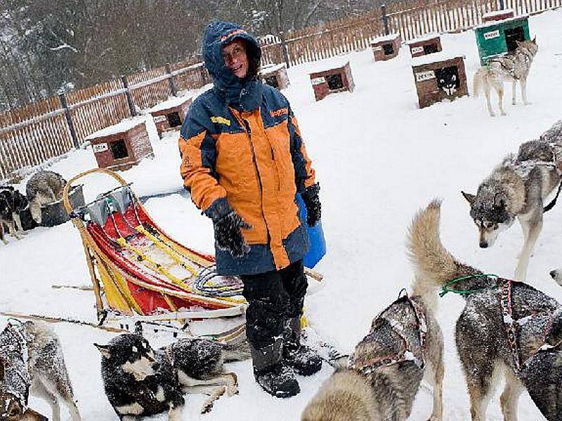 Zimní trénink Jany Henychové před odjezdem na závody psích spřežení Femundløpet, které se pojedou v Norsku na začátku února 2011. Je to závod na 600 kilometrů.