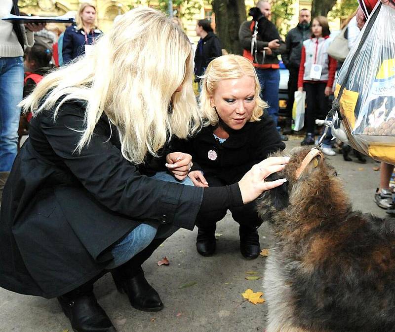 Zpěvačka Klára Kolomazníková usedla v porotě Jabloneckého voříška spolu s pražskou advokátkou Klárou Slámovou. 