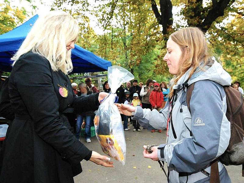 Zpěvačka Klára Kolomazníková usedla v porotě Jabloneckého voříška spolu s pražskou advokátkou Klárou Slámovou. 