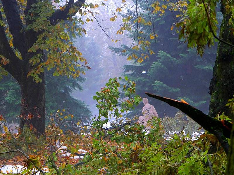 Tyršův park značně zdevastovala sněhová kalamita v roce 2009.