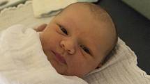 ZOE PAVLÍNA PASKALA NORDEY se narodila v pondělí 23. října mamince Lucii Nordey z Jablonce nad Nisou. Měřila 52 cm a vážila 3,76 kg.