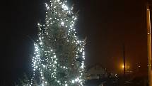 Vánoční strom v Dolní Černé Studnici