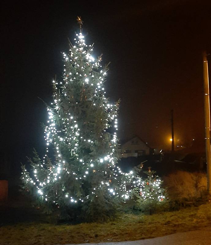 Vánoční strom v Dolní Černé Studnici