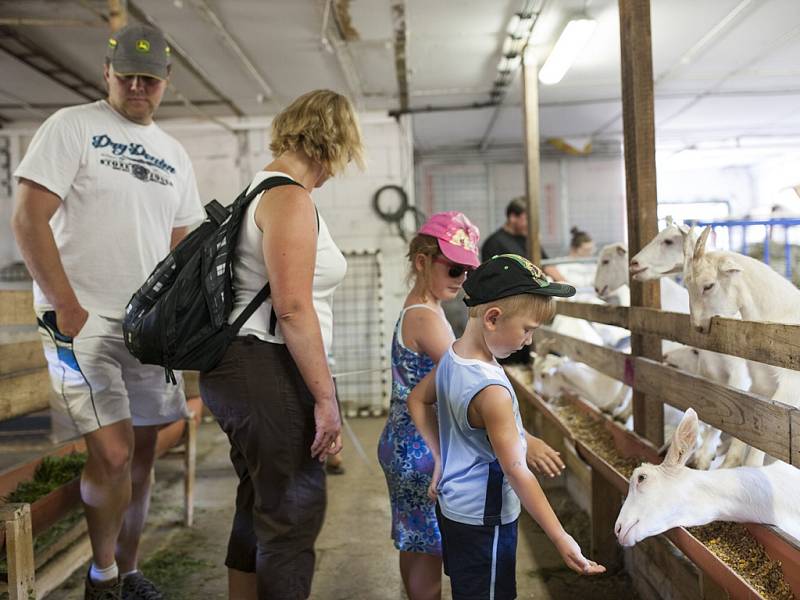 Farmářské slavnosti na Pěnčíně.