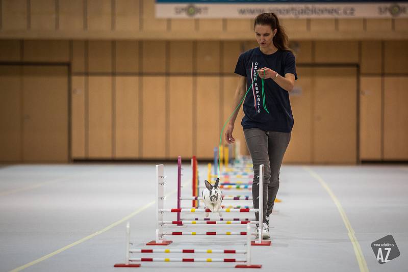 Česká reprezentantka Petra Molkupová se svým králíčkem.