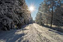 Jindřichov nabízí milovníkům lyžování ty nejlepší podmínky, pokud je ovšem dostatek sněhu. V pondělí 18. prosince byla trasa protažena již od jabloneckých sádek až na Jindřichov. a dále Horní Maxov.