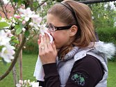 Jarní příroda a pyly květin a stromů trápí alergiky.