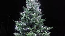 Vánoční strom v Jílovém u Držkova
