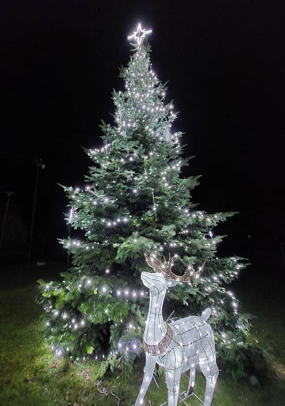 Vánoční strom v Jílovém u Držkova
