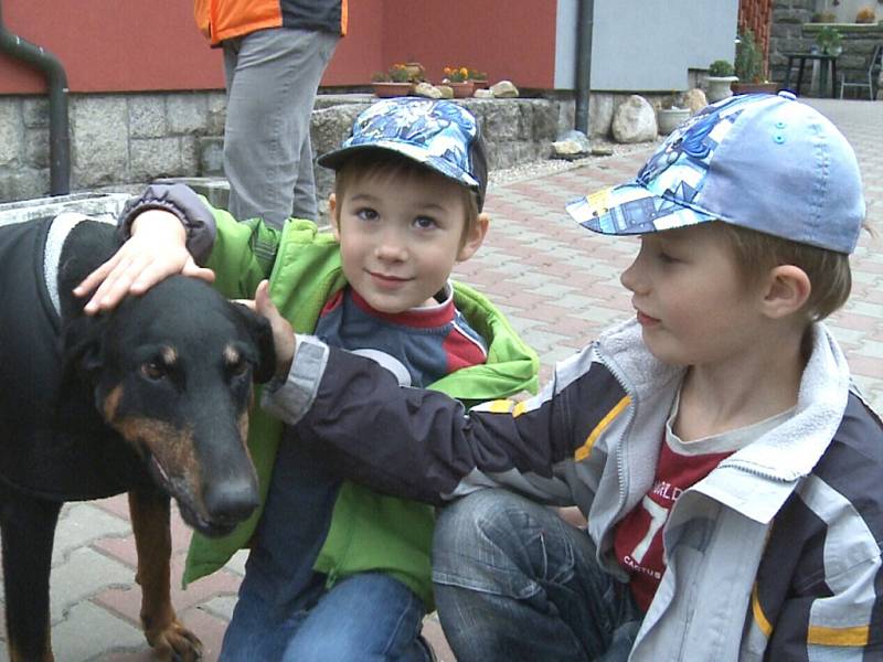 Za fenku v rekonvalescenci se zajeli do útulku Dášenka nejprve podívat a po několika dnech do šťastného shledání si ji odvezli. 