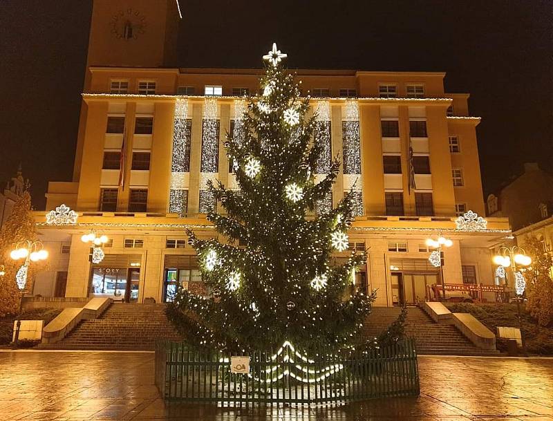 Vánoční strom v Jablonci nad Nisou