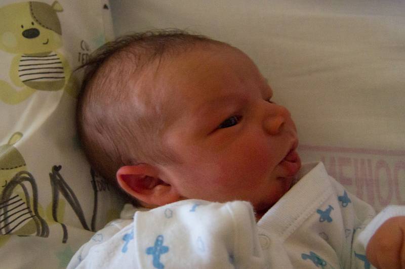 RICHARD ČERVENÝ se narodil ve středu 29. listopadu v jablonecké porodnici mamince Kláře Rosenbaumové z Jablonce nad Nisou.  Měřil 49 cm a vážil 4,12 kg.