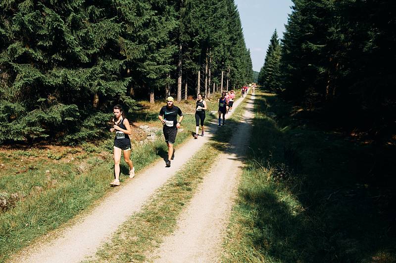 Letní Jizerská padesátka v okolí Bedřichova