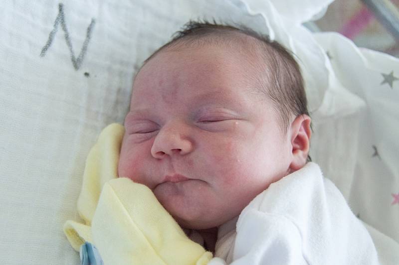 ALENA ŠRÝTROVÁ se narodila v pondělí 18. prosince v jablonecké porodnici mamince Janě Šrýtrové z Českého Dubu. Měřila 47 cm a vážila 3,40 kg.