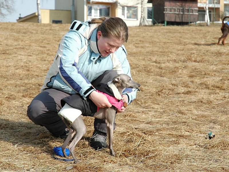 Nedělní sraz pejskařů na Dolině byl tematický, zaměřený na vzorné pejskaře, kteří mají svého pejska nekonfliktního, označeného psí známkou a vzorně sbírající po svém pejskovi hovínka,