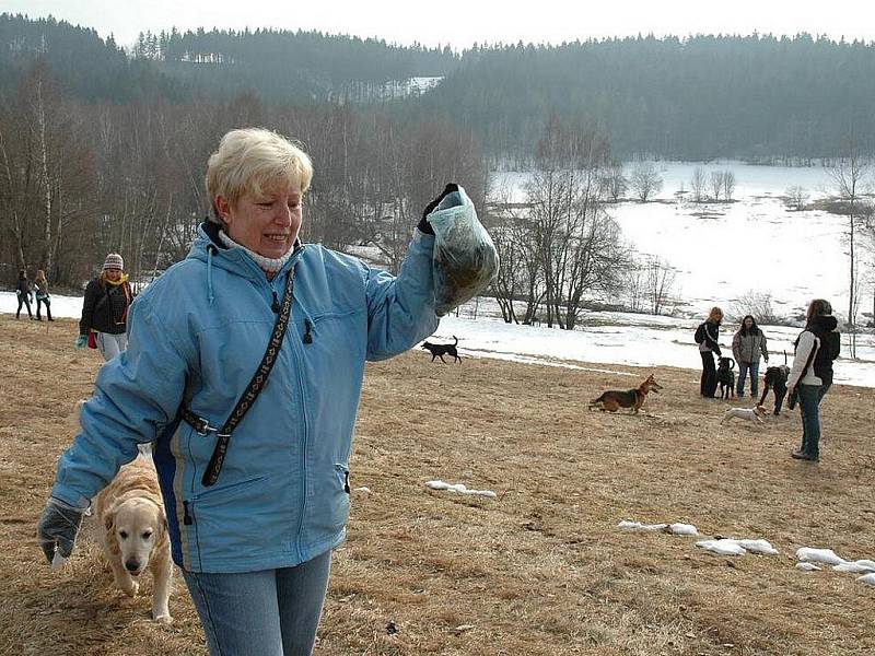 Nedělní sraz pejskařů na Dolině byl tematický, zaměřený na vzorné pejskaře, kteří mají svého pejska nekonfliktního, označeného psí známkou a vzorně sbírající po svém pejskovi hovínka,