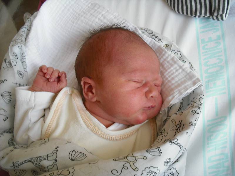 Edvin Repárjuk. Narodil se 25.ledna v jablonecké porodnici mamince Anně Szenek z Mnichova Hradiště. Vážil 3,69 kg a měřil 52 cm.