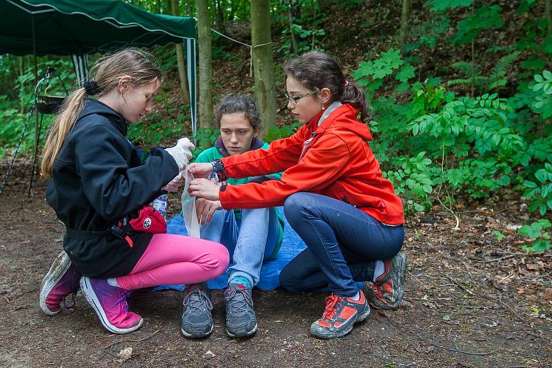 Krajské kolo Helpíkova poháru Libereckého kraje, zdravotně výchovné soutěže v první pomoci pro žáky pátých tříd základních škol, proběhlo 16. května u vodní nádrže Mšeno v Jablonci nad Nisou.