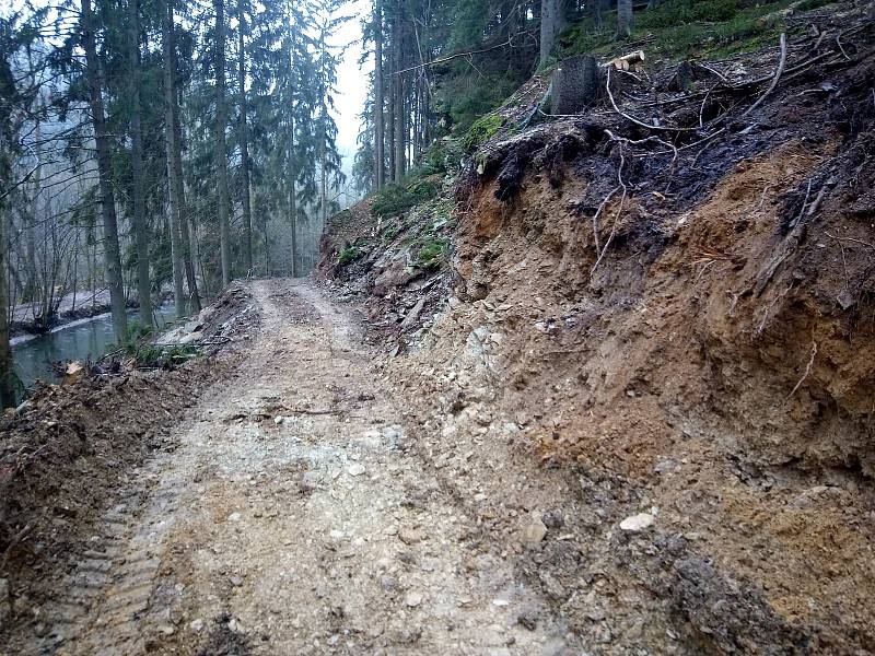 Výstavba další etapy cyklostezky Greenway Jizera mezi Železným Brodem a Líšným.