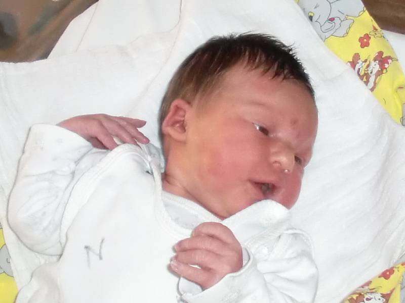 Viktorie Hamplová se narodila Michaele Janusové a Jiřímu Hamplovi ze Železného Brodu 4. 11. 2014. Vážila 3150 g a měřila 49 cm.