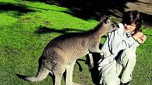 Leoš Šimánek vypráví o své cestě na jižní polokouli: Austrálie křížem krážem.