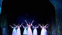 MIZUNO NAGATA v roli Giselle a VLADIMIR GONČAROV v roli Vévody Alberta předvedli své taneční umění v jabloneckém Městském divadle při nedělním představení baletu Adolpha Charlese Adama, se kterým zde hostovalo Severočeské divadlo z Ústí. 