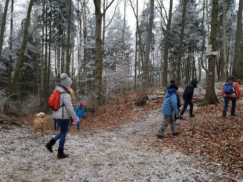 BUŘTÍKY NA DĚVÍNĚ. Zhruba 250 uzenin a adekvátní počet krajíců chleba připravili na Obecním úřadě v Hamru na Jezeře na Silvestrovský pochod. Nezapomněli ani na erární hořčici. 