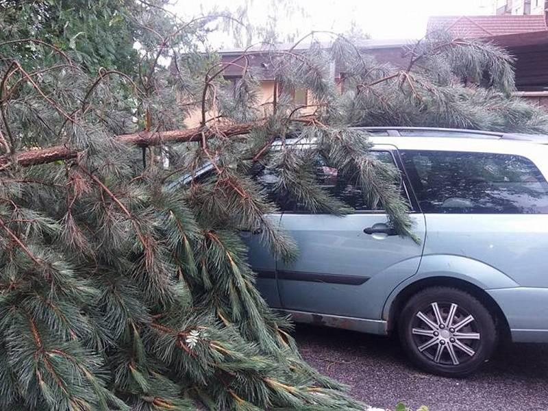 Sobotní apokalypsa po krátké ale razantní bouřce s vichřicí. 