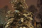 Vánoční stromek v Jablonecký Pasekách